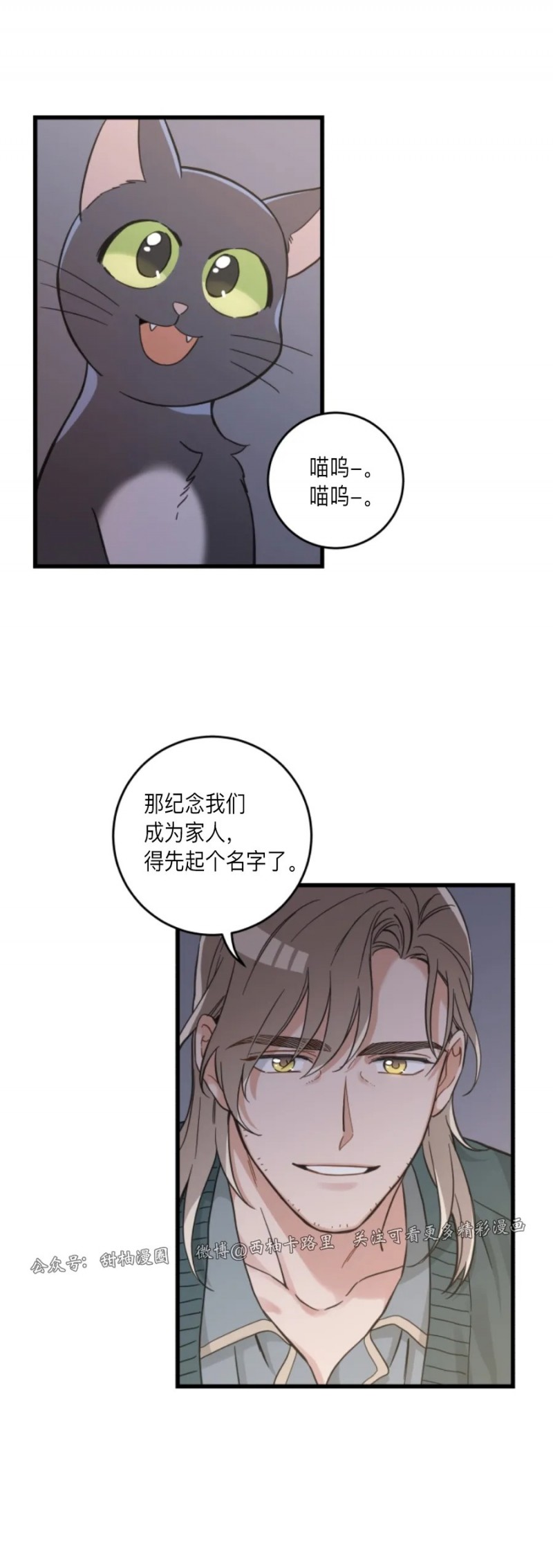 《我的专属喵喵/我的专属猫咪》漫画最新章节第48话免费下拉式在线观看章节第【33】张图片