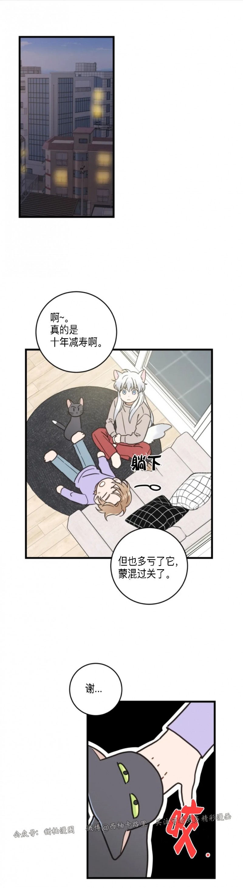 《我的专属喵喵/我的专属猫咪》漫画最新章节第48话免费下拉式在线观看章节第【6】张图片