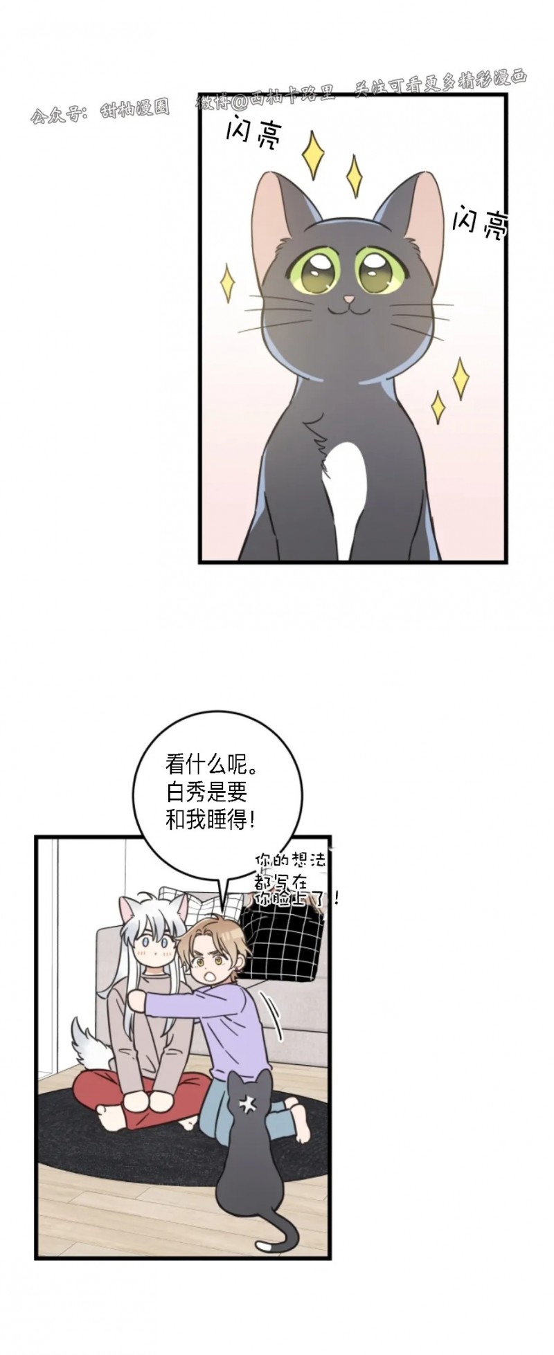 《我的专属喵喵/我的专属猫咪》漫画最新章节第48话免费下拉式在线观看章节第【8】张图片