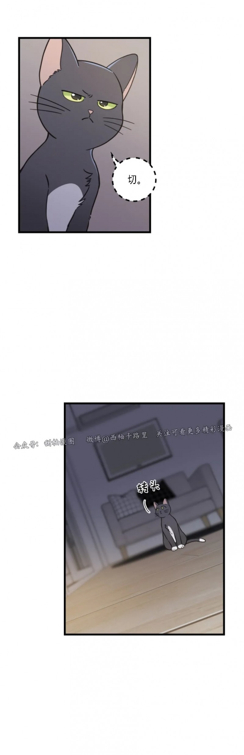 《我的专属喵喵/我的专属猫咪》漫画最新章节第48话免费下拉式在线观看章节第【10】张图片