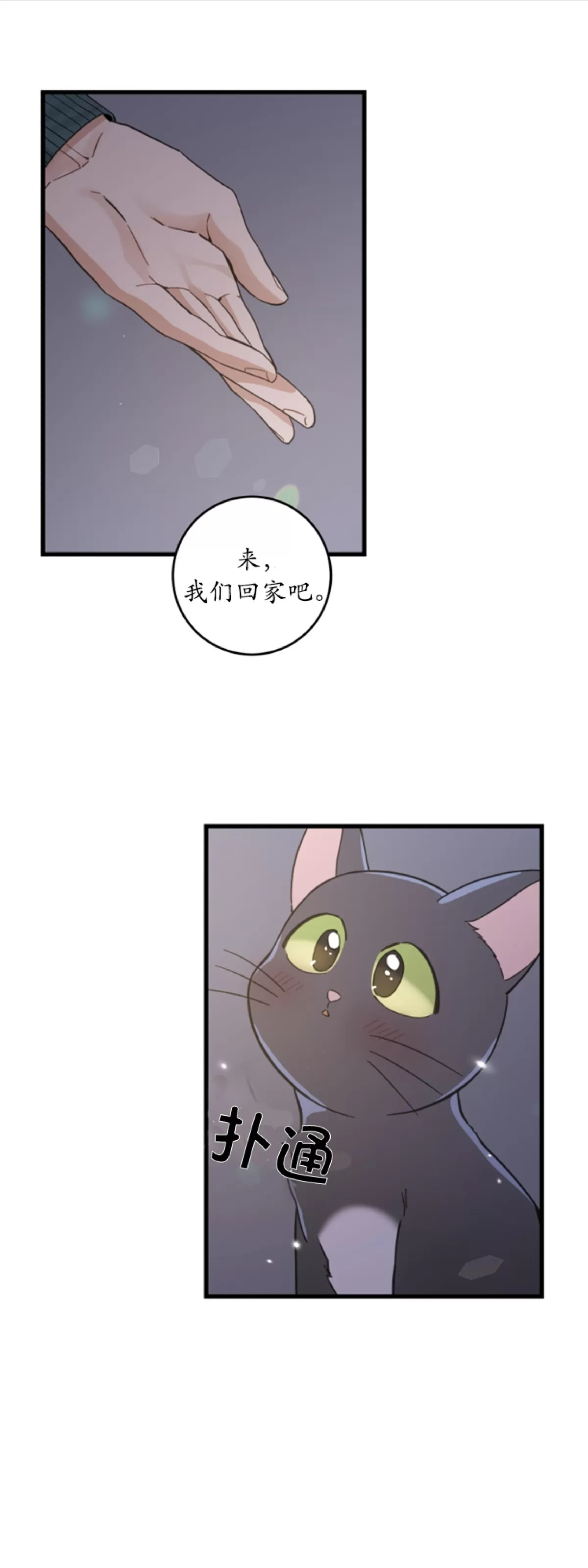 【我的专属喵喵/我的专属猫咪[耽美]】漫画-（第49话）章节漫画下拉式图片-1.jpg