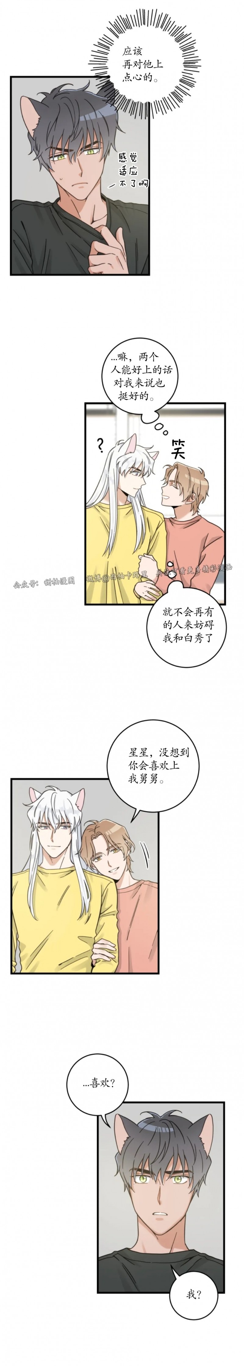 《我的专属喵喵/我的专属猫咪》漫画最新章节第50话免费下拉式在线观看章节第【5】张图片