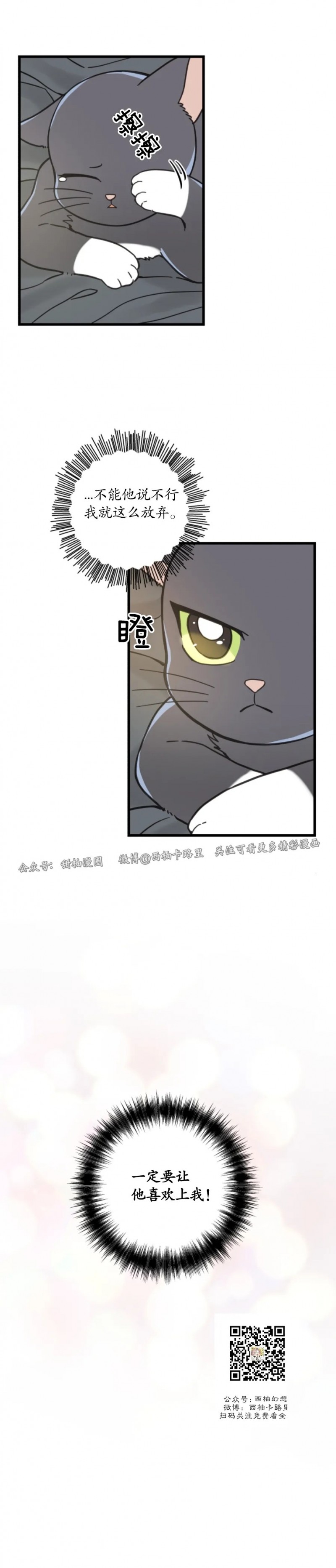 《我的专属喵喵/我的专属猫咪》漫画最新章节第50话免费下拉式在线观看章节第【16】张图片