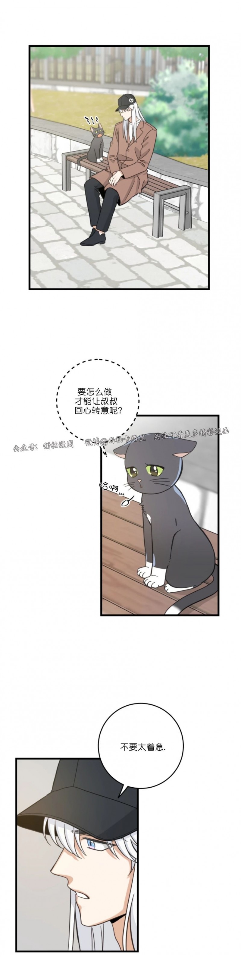 《我的专属喵喵/我的专属猫咪》漫画最新章节第52话免费下拉式在线观看章节第【17】张图片