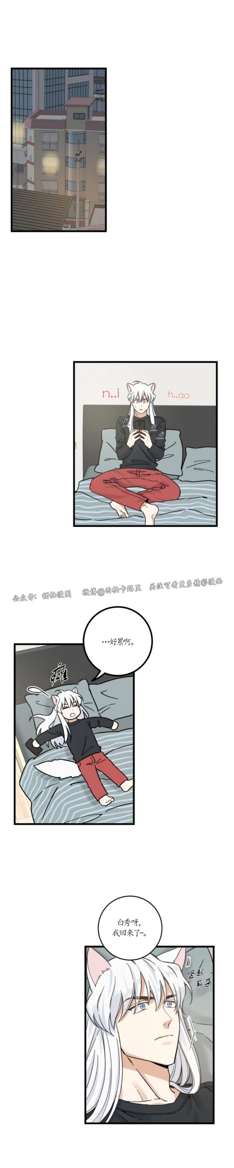 《我的专属喵喵/我的专属猫咪》漫画最新章节第53话免费下拉式在线观看章节第【13】张图片