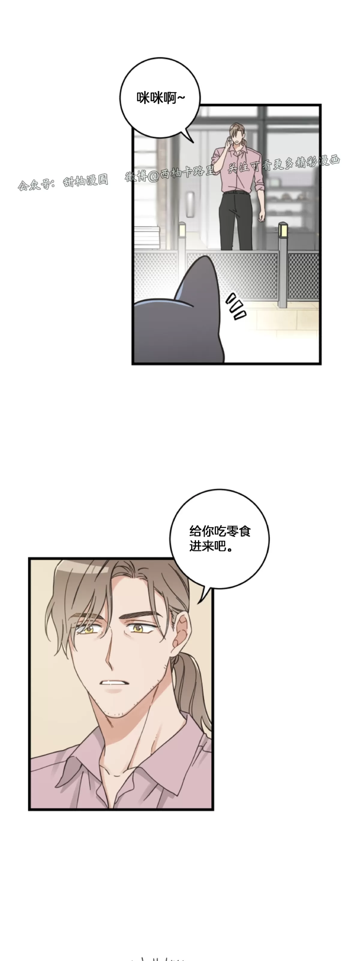 《我的专属喵喵/我的专属猫咪》漫画最新章节第54话免费下拉式在线观看章节第【15】张图片