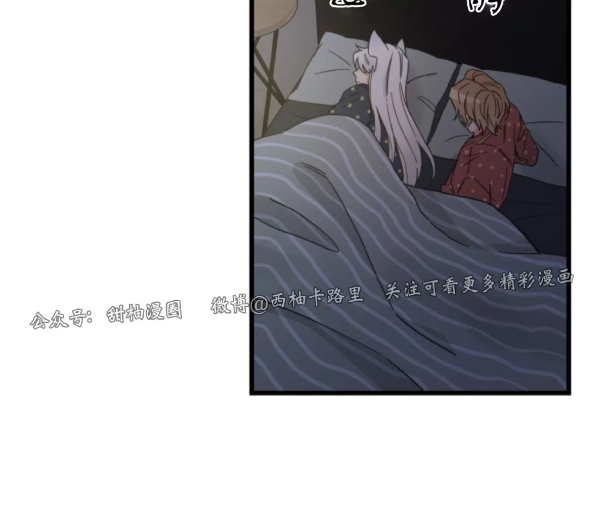 《我的专属喵喵/我的专属猫咪》漫画最新章节第55话免费下拉式在线观看章节第【4】张图片