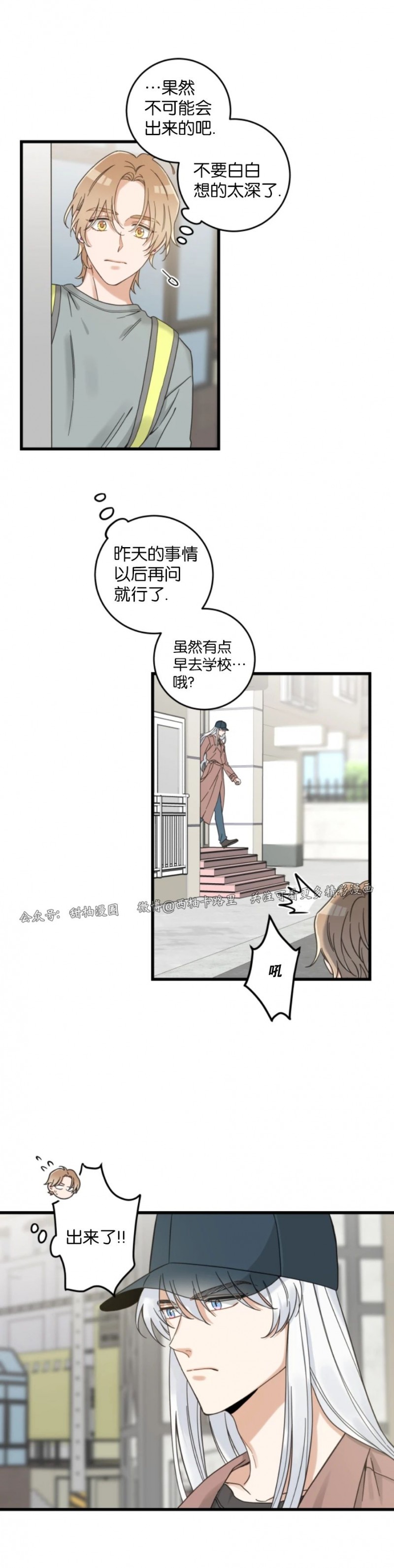 《我的专属喵喵/我的专属猫咪》漫画最新章节第56话免费下拉式在线观看章节第【5】张图片