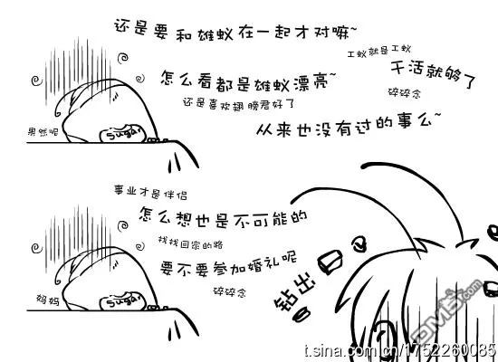 《蚂蚁君~》漫画最新章节 第2卷 免费下拉式在线观看章节第【11】张图片