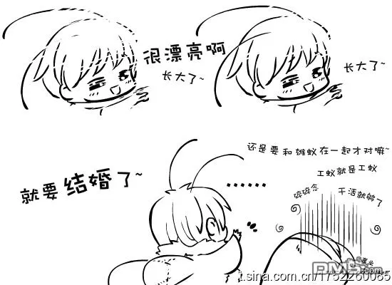 《蚂蚁君~》漫画最新章节 第2卷 免费下拉式在线观看章节第【14】张图片