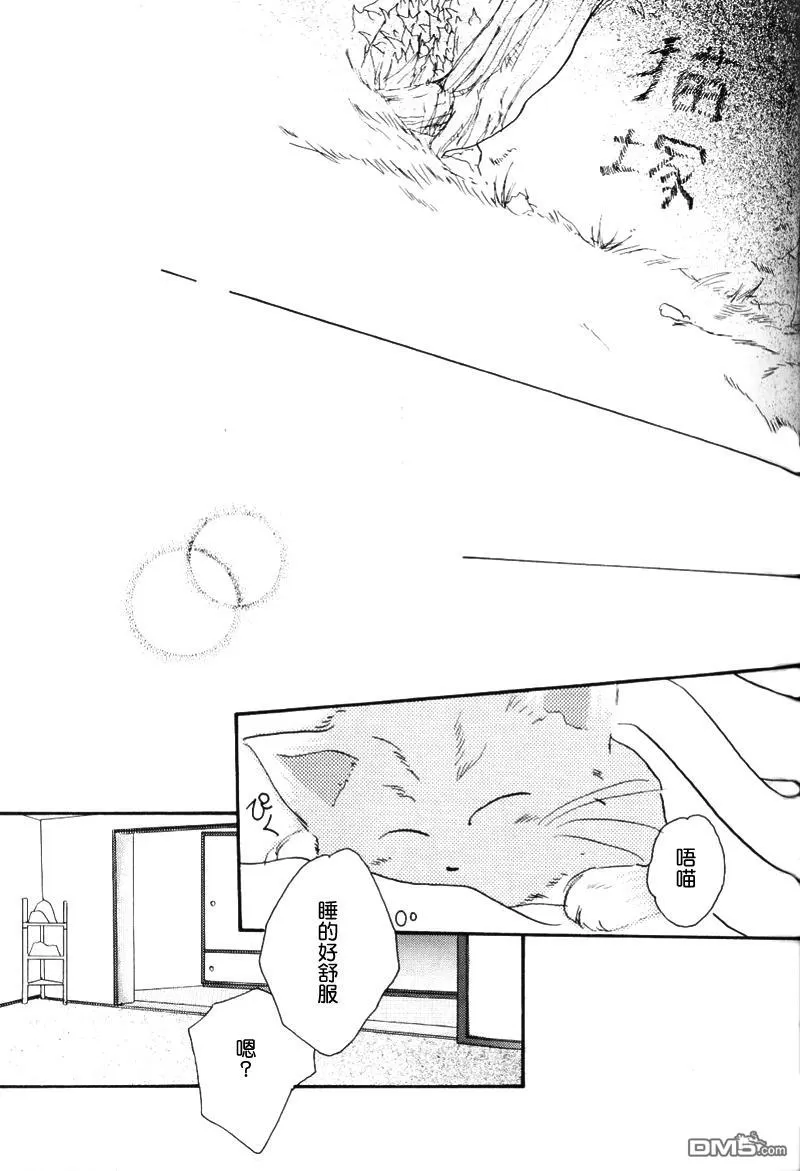 【不可思议猫奇潭[耽美]】漫画-（ 第1话 ）章节漫画下拉式图片-40.jpg