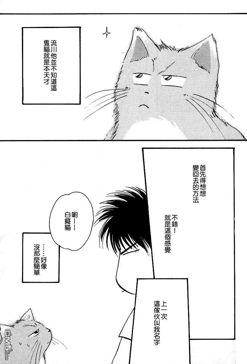 【不可思议猫奇潭[耽美]】漫画-（ 第1话 ）章节漫画下拉式图片-44.jpg