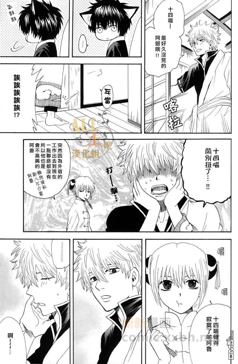 《汪喵日和》漫画最新章节 第1话 免费下拉式在线观看章节第【16】张图片