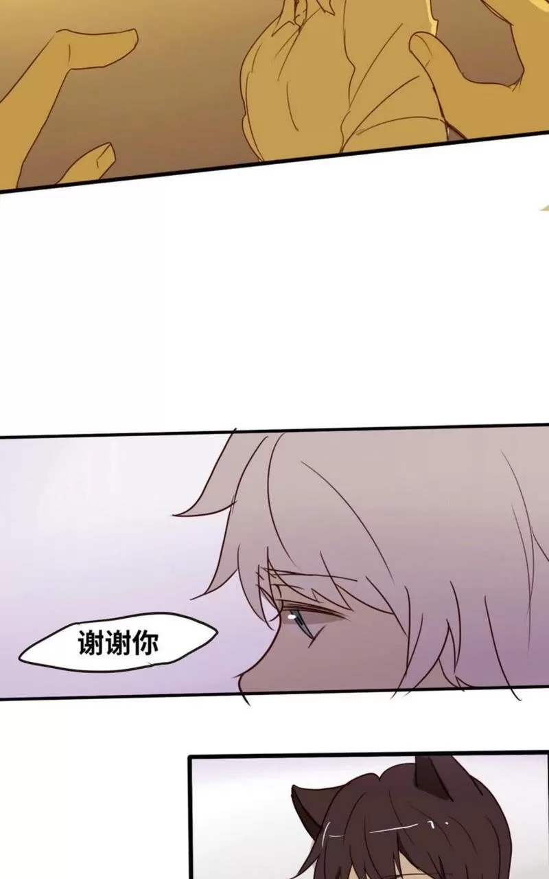 《似兔非兔》漫画最新章节 第7-12话 免费下拉式在线观看章节第【96】张图片