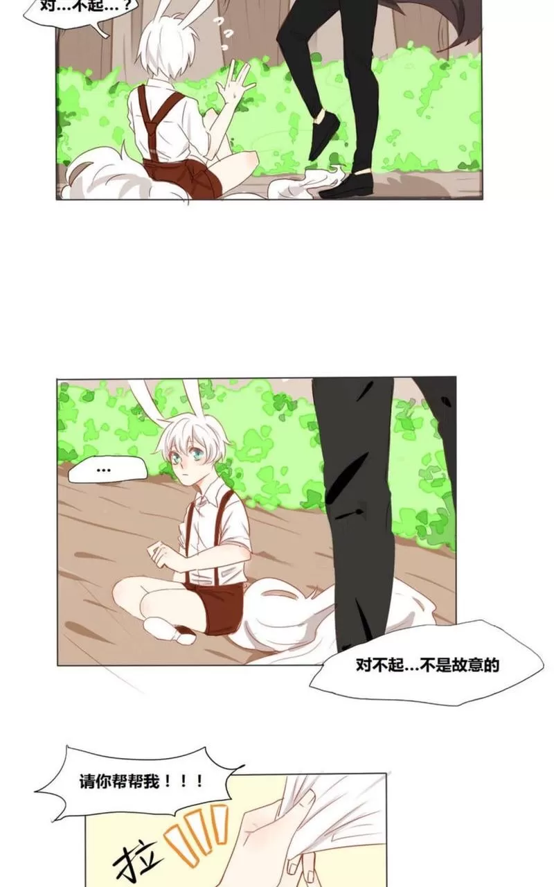 《似兔非兔》漫画最新章节 第1-6话 免费下拉式在线观看章节第【11】张图片