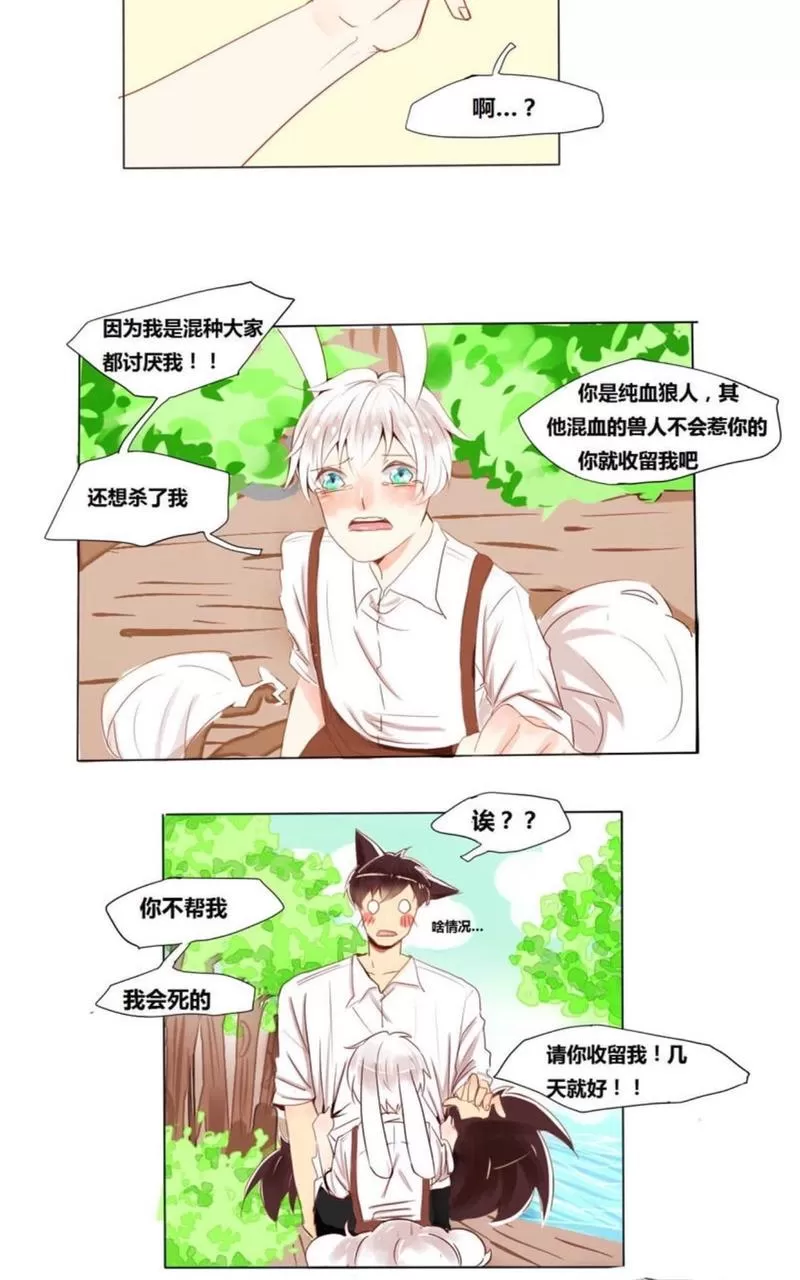 《似兔非兔》漫画最新章节 第1-6话 免费下拉式在线观看章节第【12】张图片