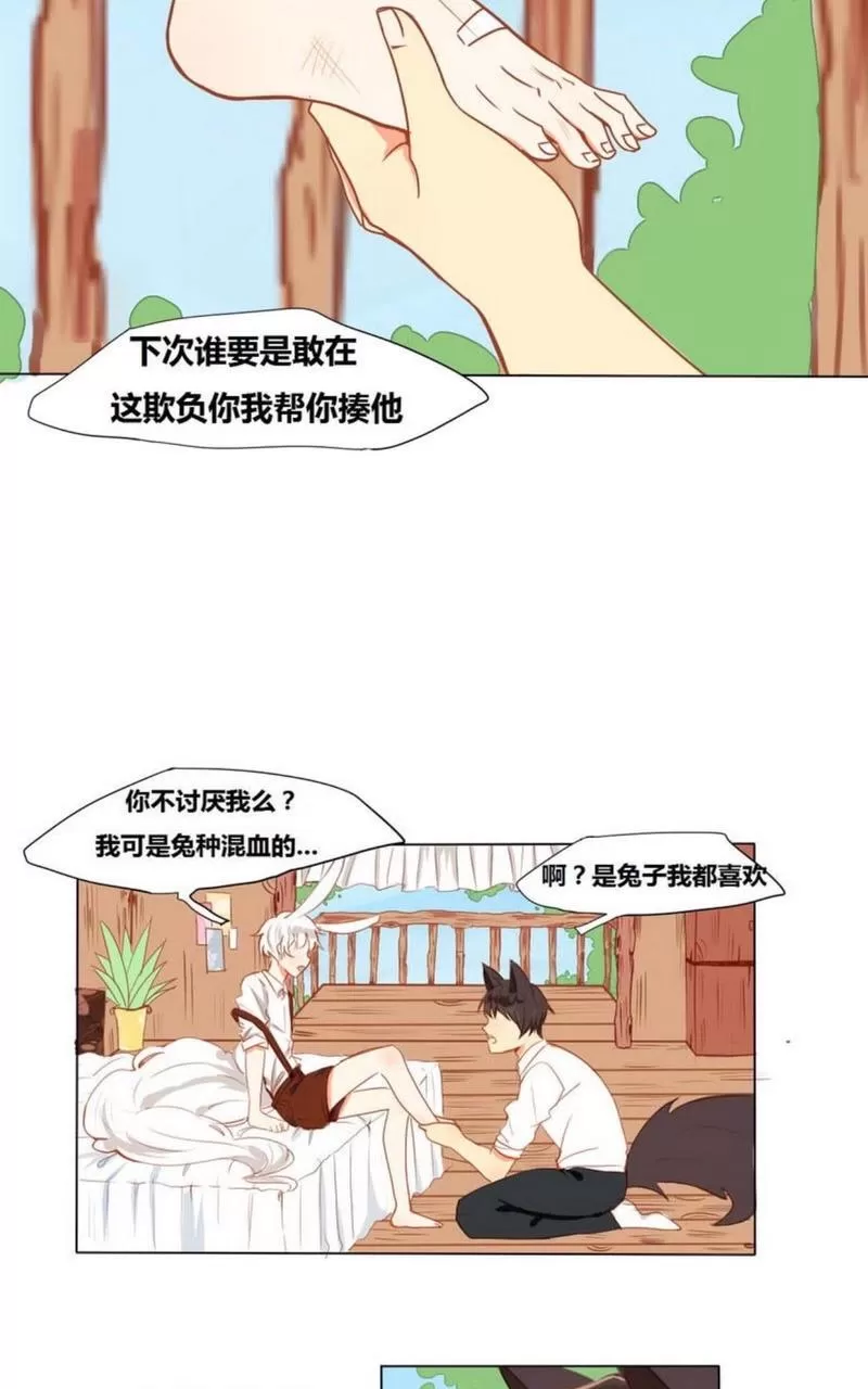 《似兔非兔》漫画最新章节 第1-6话 免费下拉式在线观看章节第【21】张图片