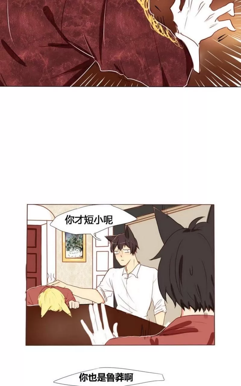 《似兔非兔》漫画最新章节 第1-6话 免费下拉式在线观看章节第【51】张图片