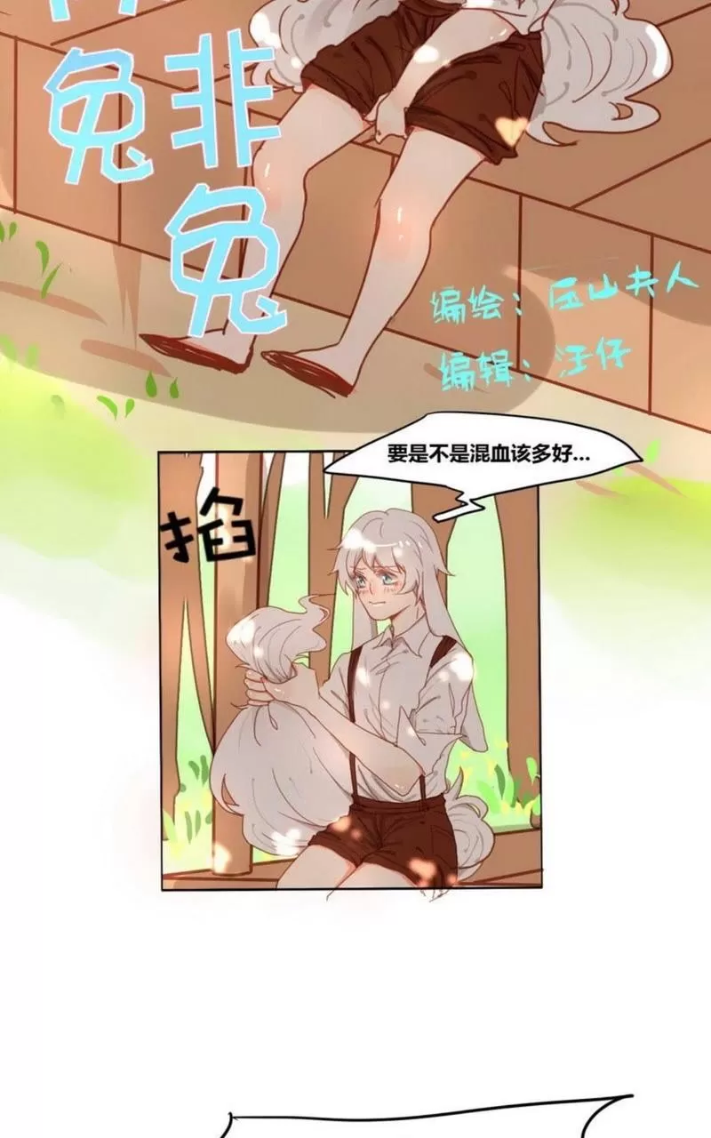 《似兔非兔》漫画最新章节 第1-6话 免费下拉式在线观看章节第【90】张图片