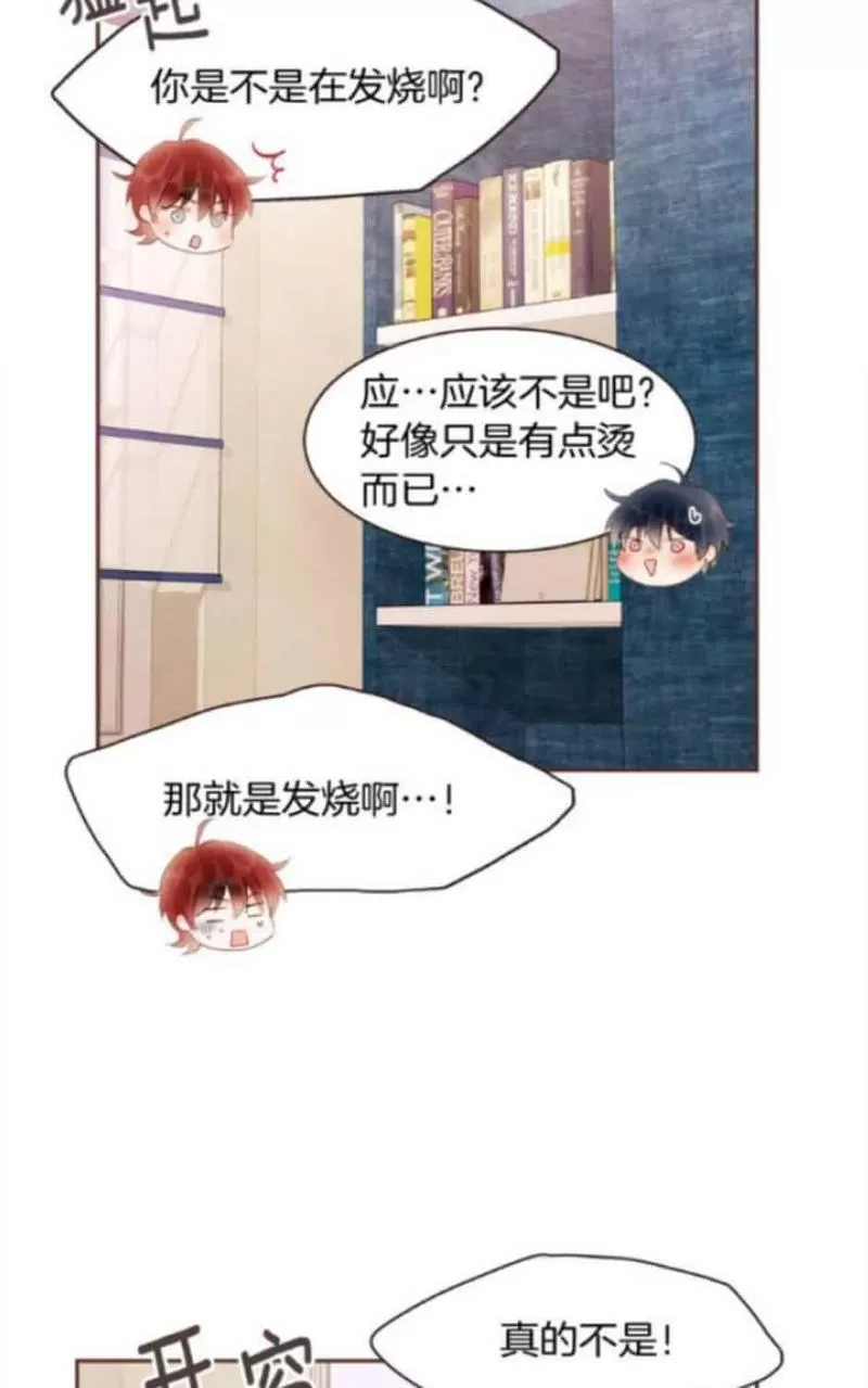 《爱情和友情之间》漫画最新章节 第39话 免费下拉式在线观看章节第【52】张图片