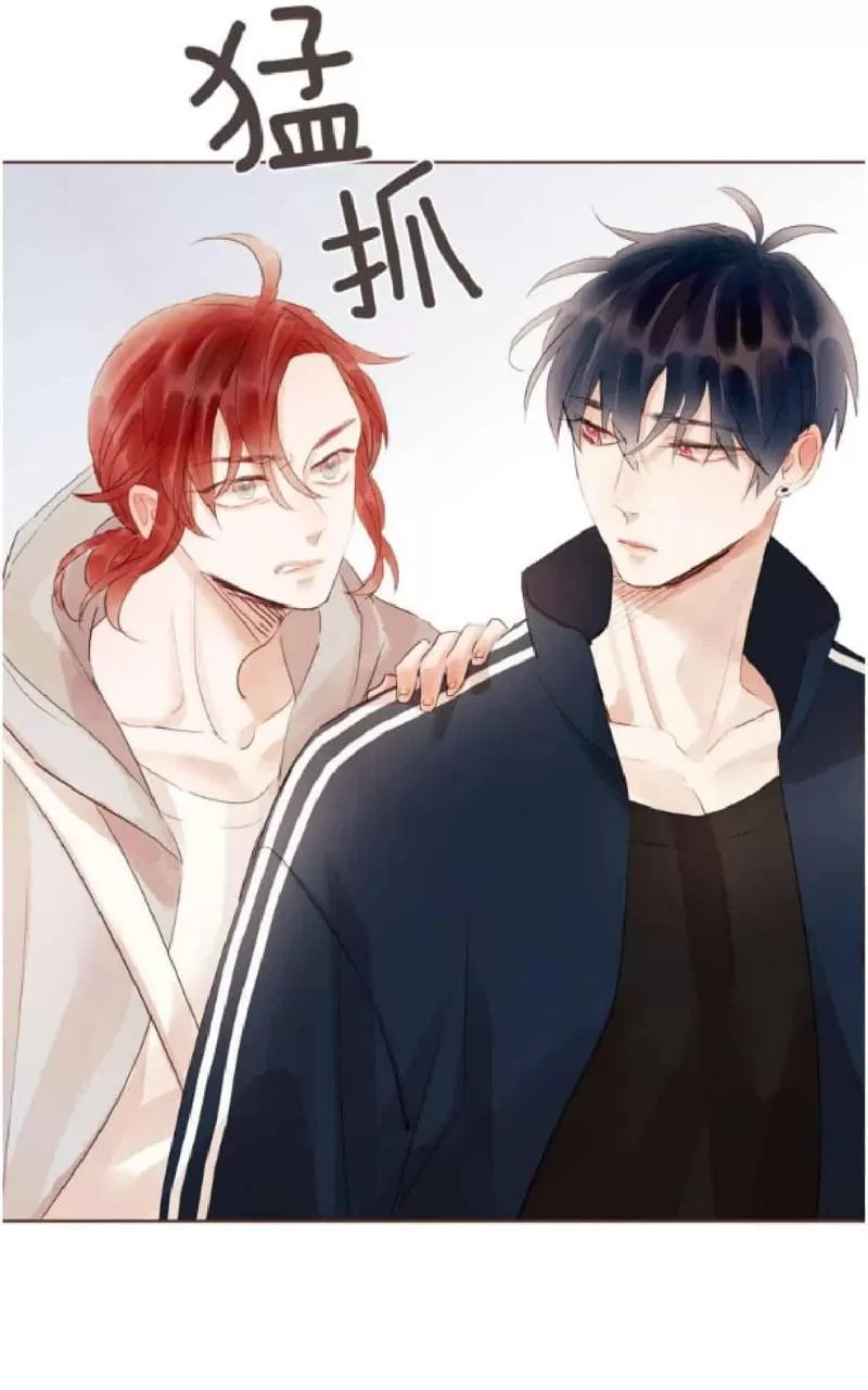 《爱情和友情之间》漫画最新章节 第33话 免费下拉式在线观看章节第【14】张图片