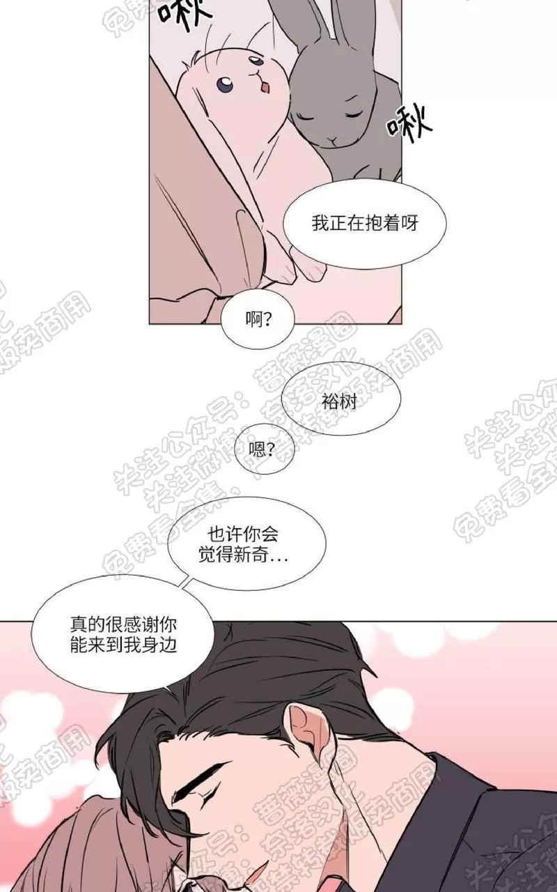 《裕树先生，那个不可以吃哦》漫画最新章节 第74话完结 免费下拉式在线观看章节第【33】张图片