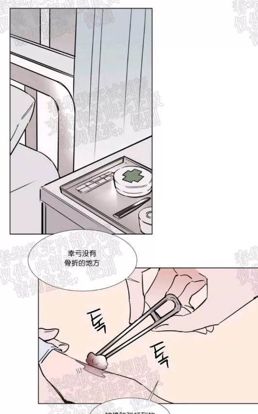 《裕树先生，那个不可以吃哦》漫画最新章节 第43话 免费下拉式在线观看章节第【20】张图片