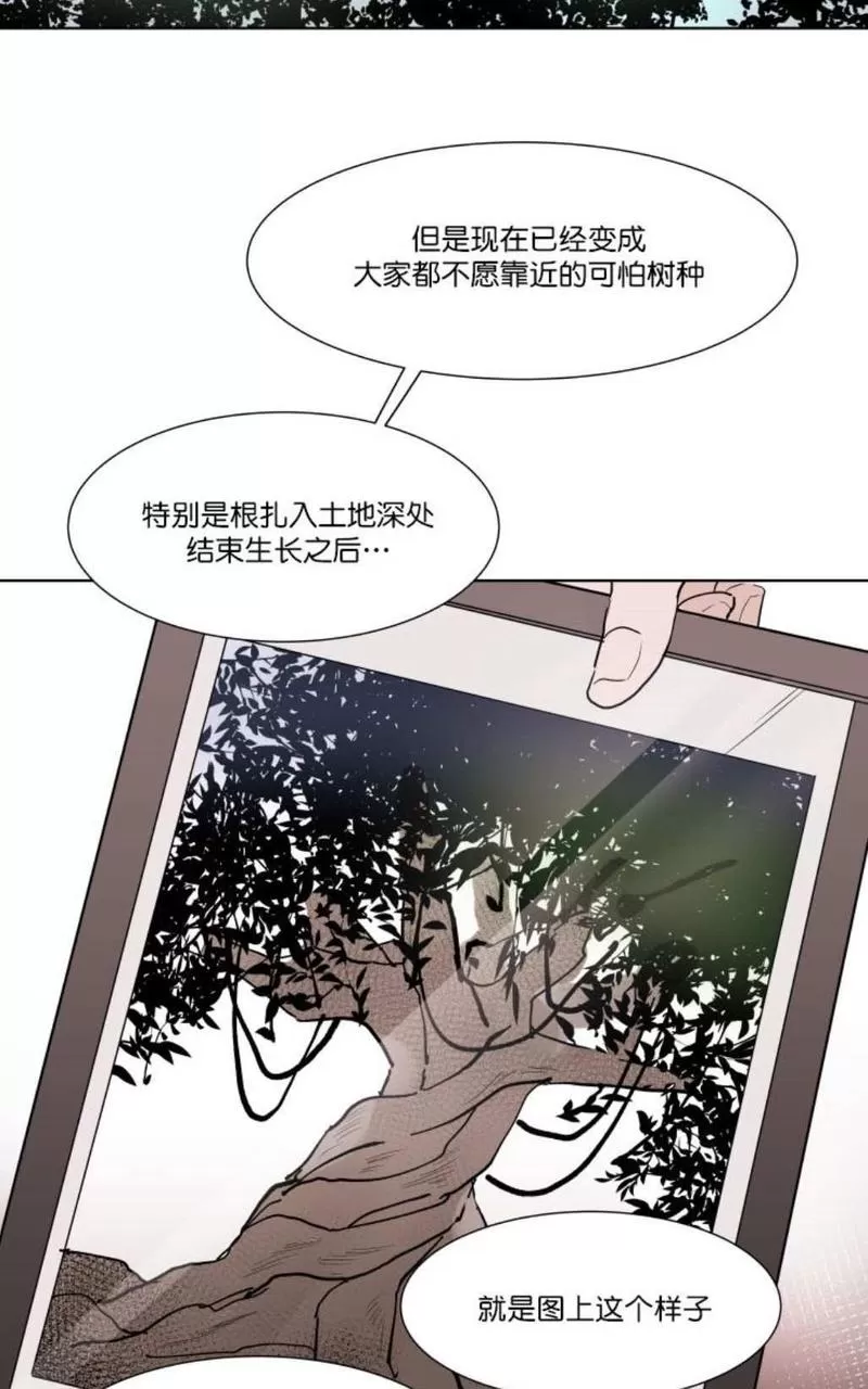 《裕树先生，那个不可以吃哦》漫画最新章节 第4话 免费下拉式在线观看章节第【23】张图片