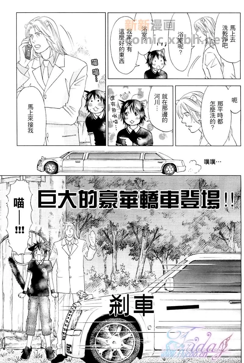 《森林中的动物公司》漫画最新章节 第3话 免费下拉式在线观看章节第【13】张图片