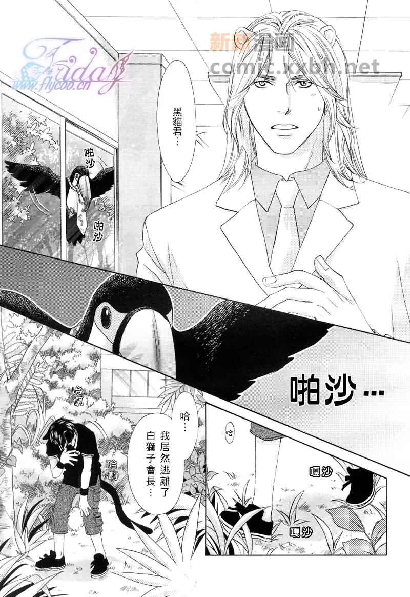 《森林中的动物公司》漫画最新章节 第3话 免费下拉式在线观看章节第【3】张图片