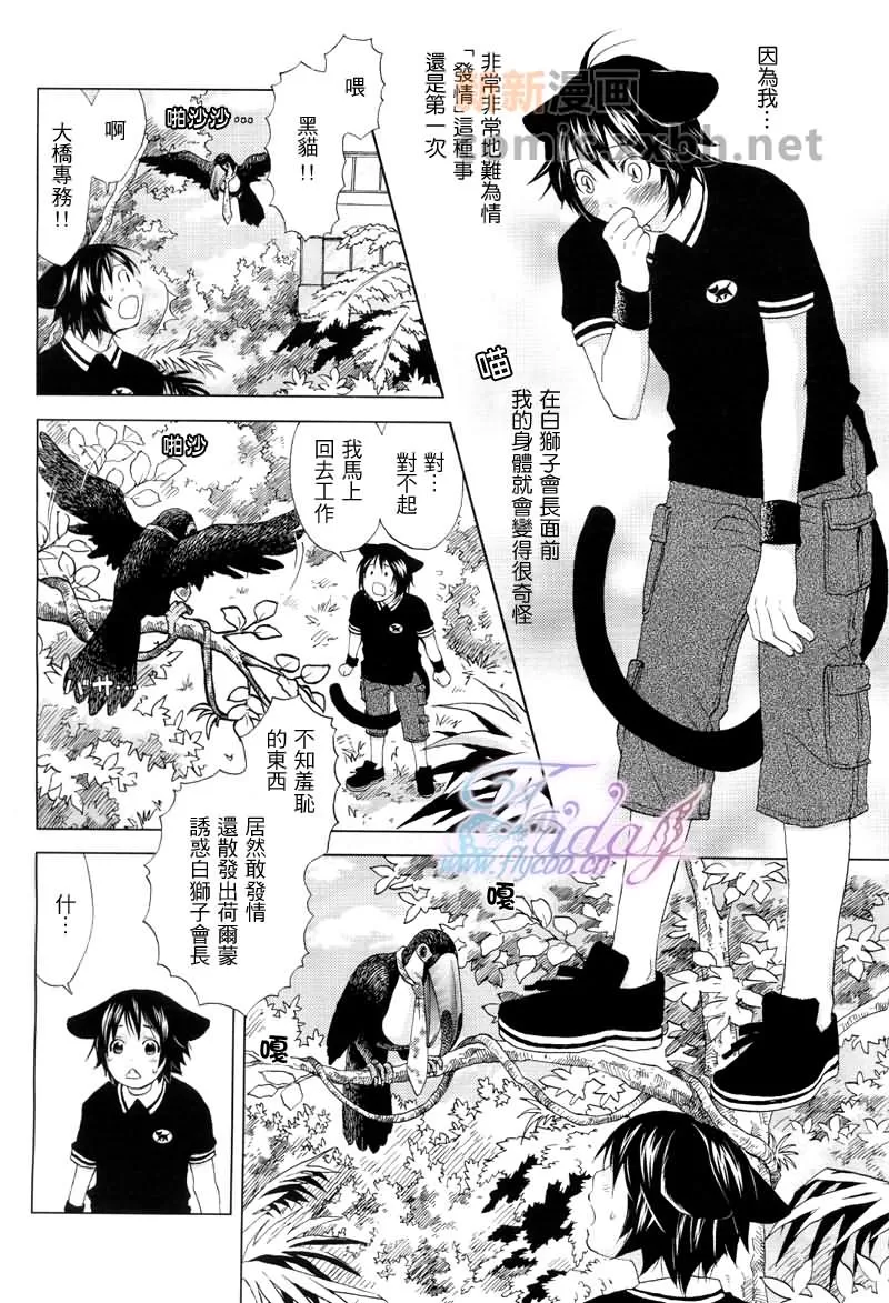 《森林中的动物公司》漫画最新章节 第3话 免费下拉式在线观看章节第【4】张图片