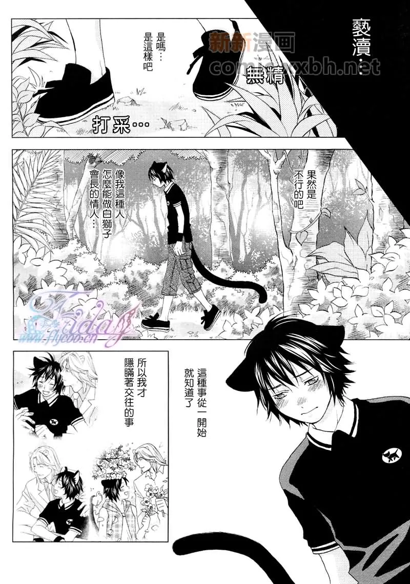 《森林中的动物公司》漫画最新章节 第3话 免费下拉式在线观看章节第【6】张图片