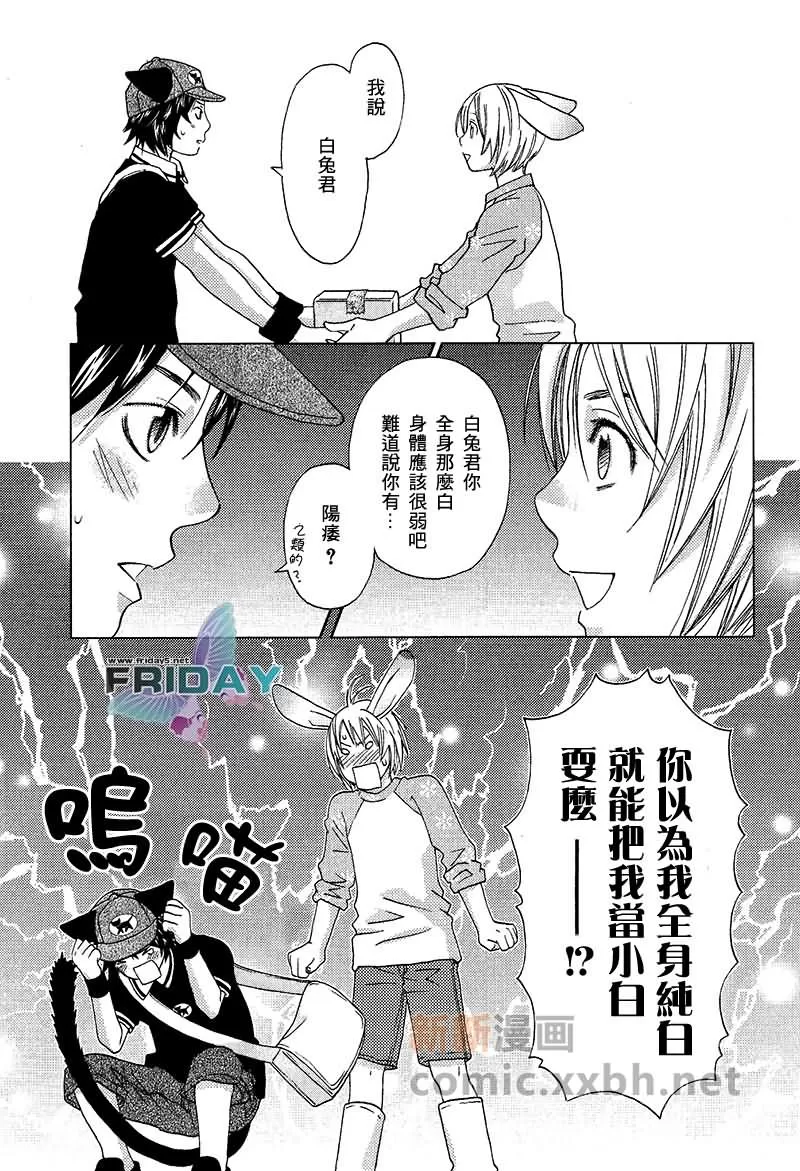 《森林中的动物公司》漫画最新章节 第2话 免费下拉式在线观看章节第【13】张图片