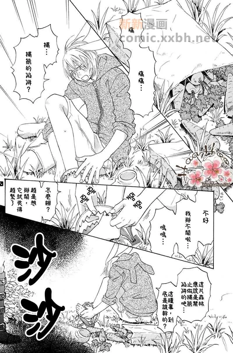 《森林中的动物公司》漫画最新章节 番外 免费下拉式在线观看章节第【11】张图片