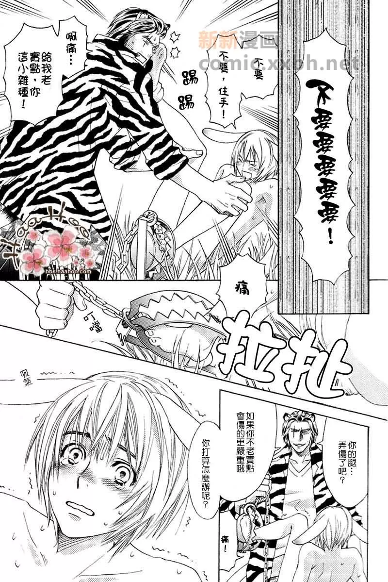 《森林中的动物公司》漫画最新章节 番外 免费下拉式在线观看章节第【14】张图片