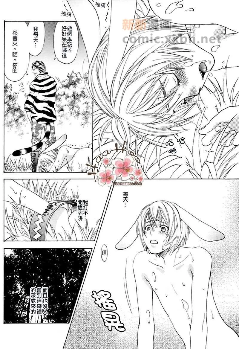 《森林中的动物公司》漫画最新章节 番外 免费下拉式在线观看章节第【17】张图片