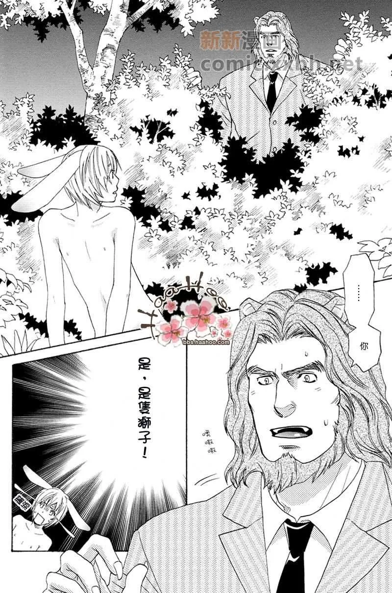 《森林中的动物公司》漫画最新章节 番外 免费下拉式在线观看章节第【19】张图片