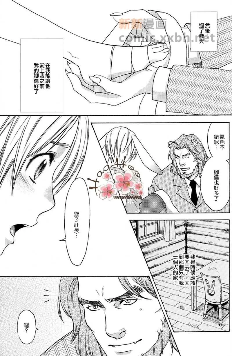 《森林中的动物公司》漫画最新章节 番外 免费下拉式在线观看章节第【34】张图片