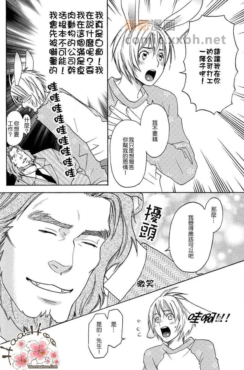 《森林中的动物公司》漫画最新章节 番外 免费下拉式在线观看章节第【35】张图片