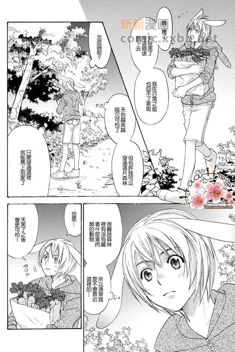 《森林中的动物公司》漫画最新章节 番外 免费下拉式在线观看章节第【9】张图片