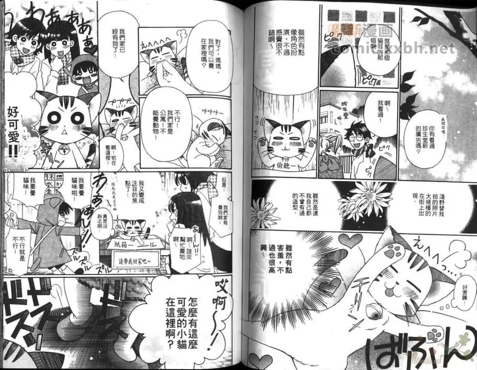 《亲爱的猫王子》漫画最新章节 第1卷 免费下拉式在线观看章节第【44】张图片