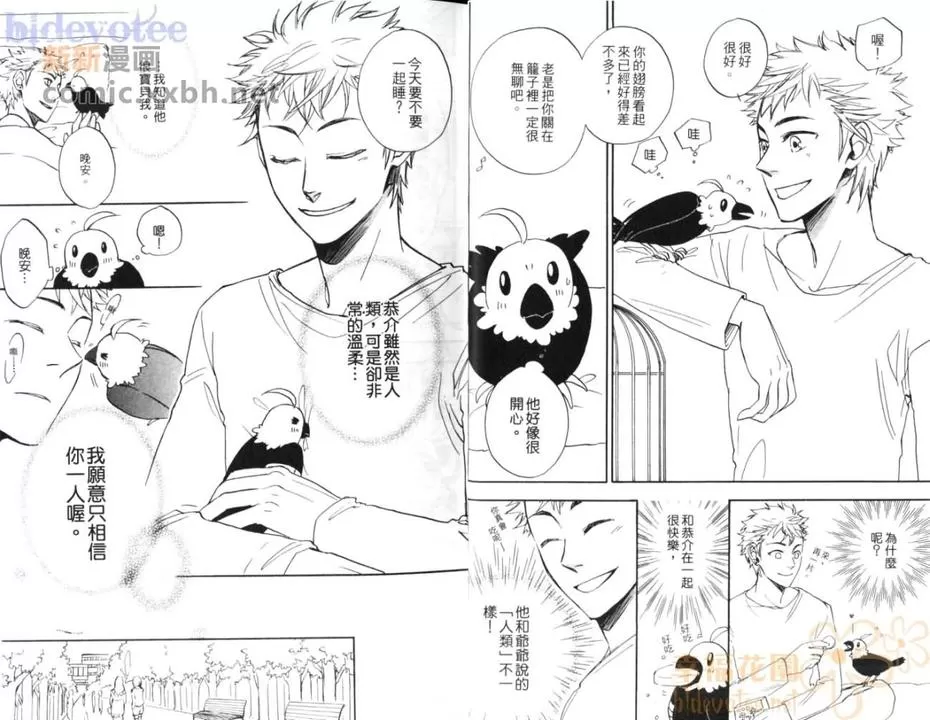 《小小鸟之恋》漫画最新章节 第1卷 免费下拉式在线观看章节第【11】张图片