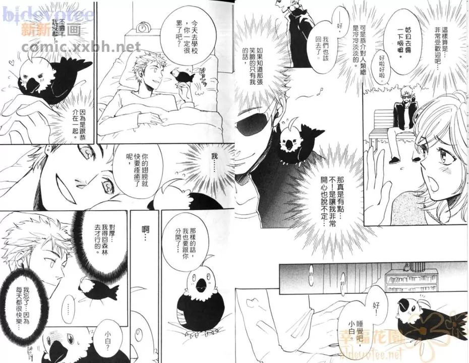 《小小鸟之恋》漫画最新章节 第1卷 免费下拉式在线观看章节第【13】张图片