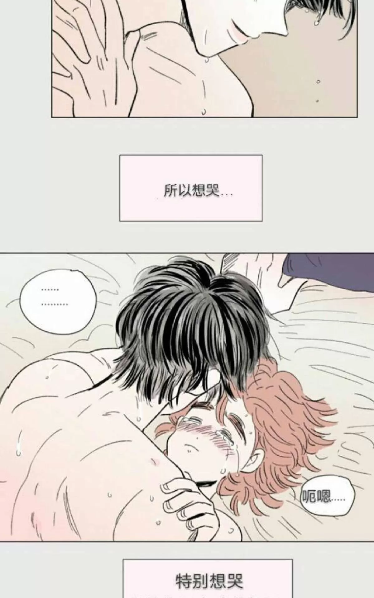 《男孕》漫画最新章节 第66话 免费下拉式在线观看章节第【33】张图片