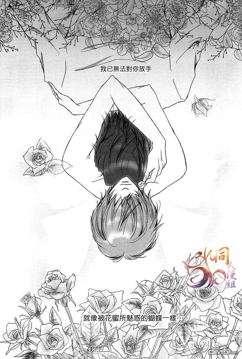 《farfalla》漫画最新章节 第1卷 免费下拉式在线观看章节第【29】张图片