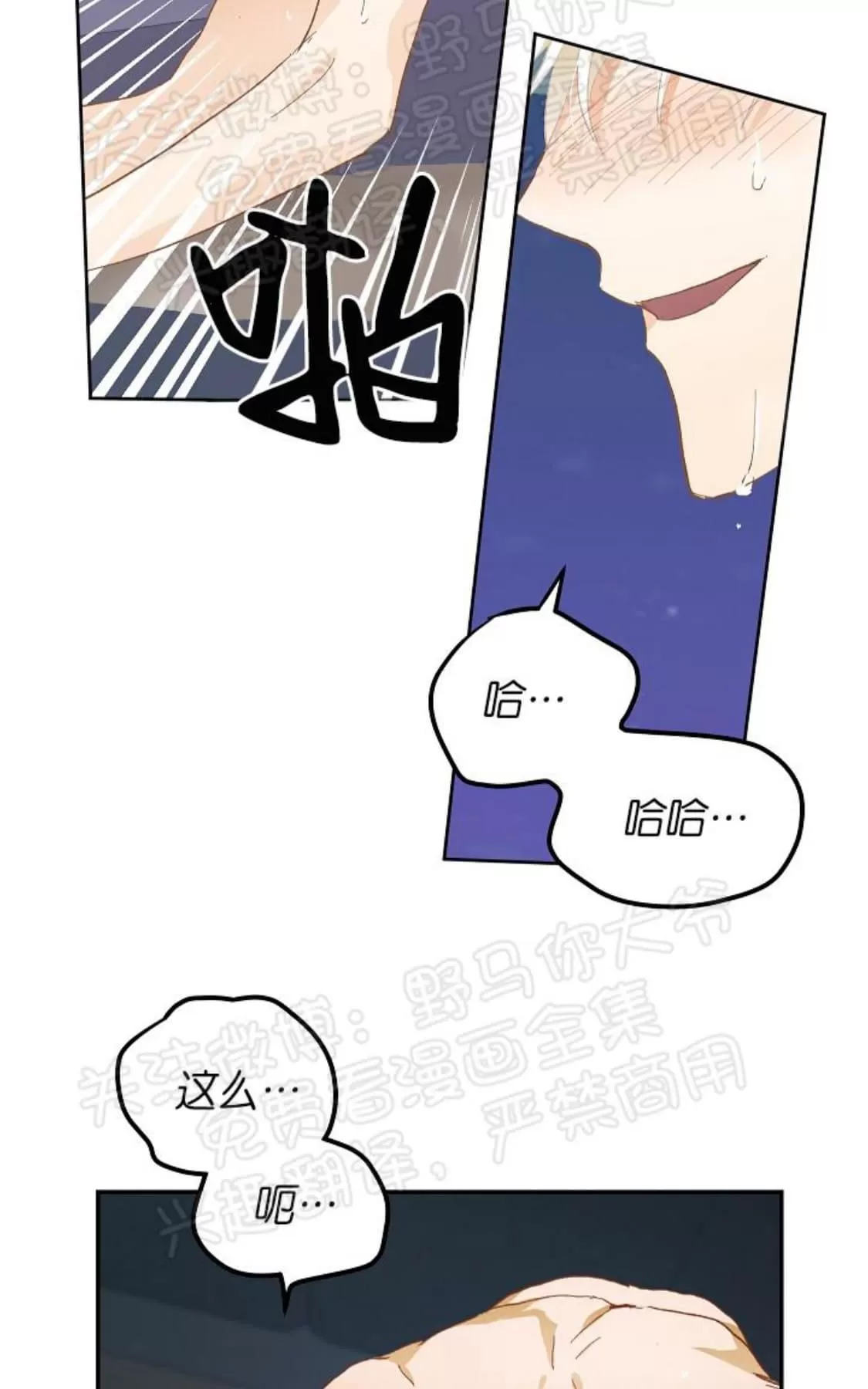 《完美谎言/完美骗子》漫画最新章节 番外2 免费下拉式在线观看章节第【41】张图片