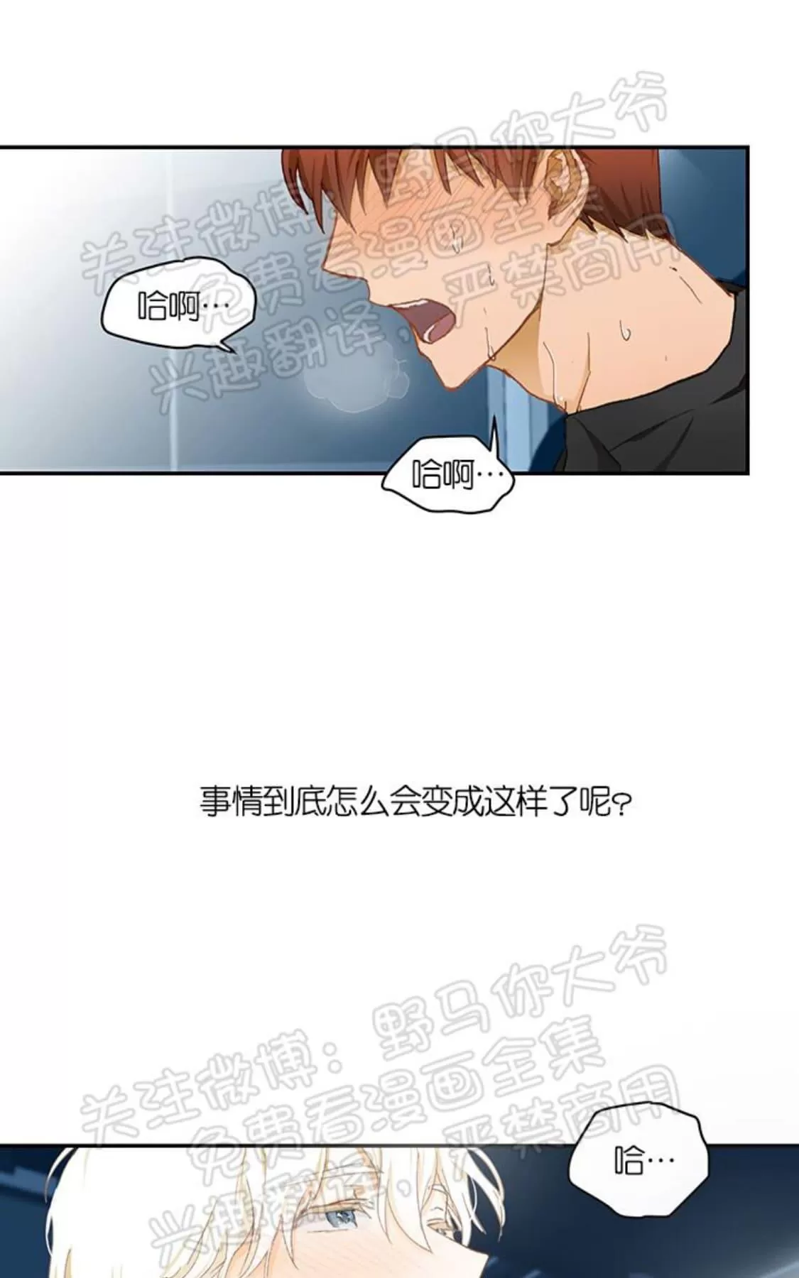 《完美谎言/完美骗子》漫画最新章节 番外1 免费下拉式在线观看章节第【1】张图片