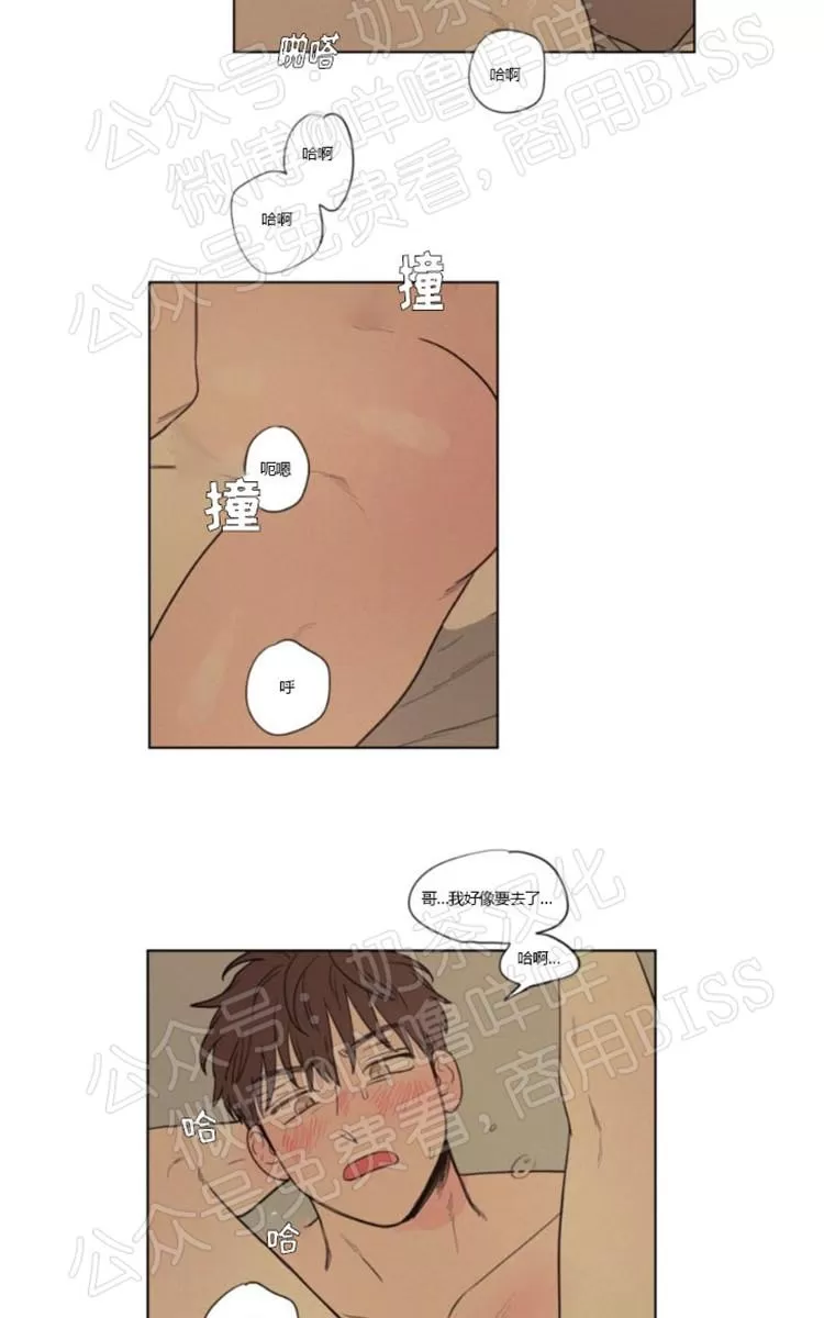 《不是py交易吗》漫画最新章节 10番外 免费下拉式在线观看章节第【27】张图片