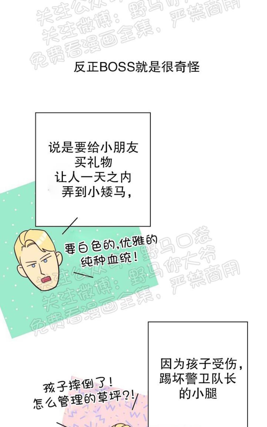 【亲爱的本杰明/枪下玫瑰[腐漫]】漫画-（ 第12话 ）章节漫画下拉式图片-35.jpg