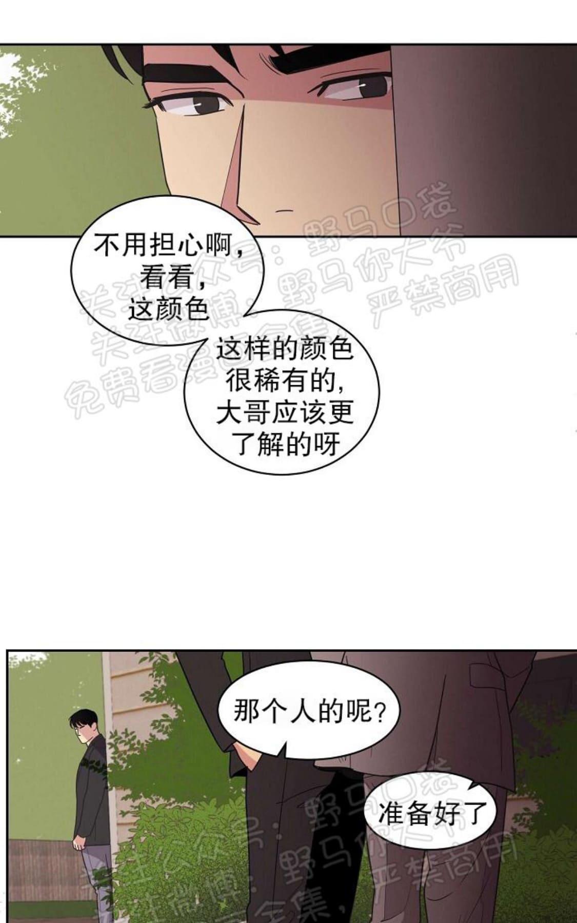 【亲爱的本杰明/枪下玫瑰[腐漫]】漫画-（ 第12话 ）章节漫画下拉式图片-53.jpg